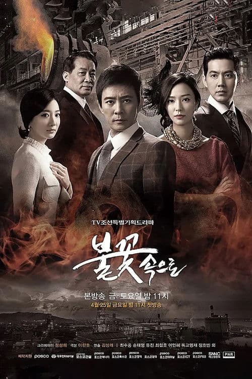 Into the Flames Season 1 poster