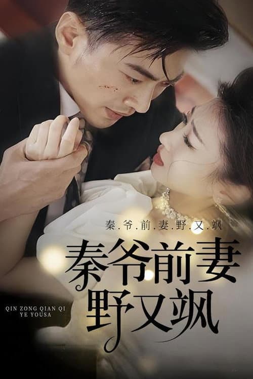 秦爷前妻野又飒 Season 1 poster
