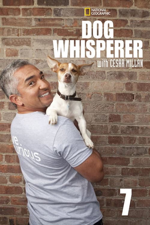 Dog Whisperer Season 7 poster