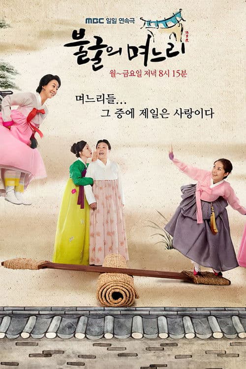 Indomitable Daughters-in-Law Season 1 poster
