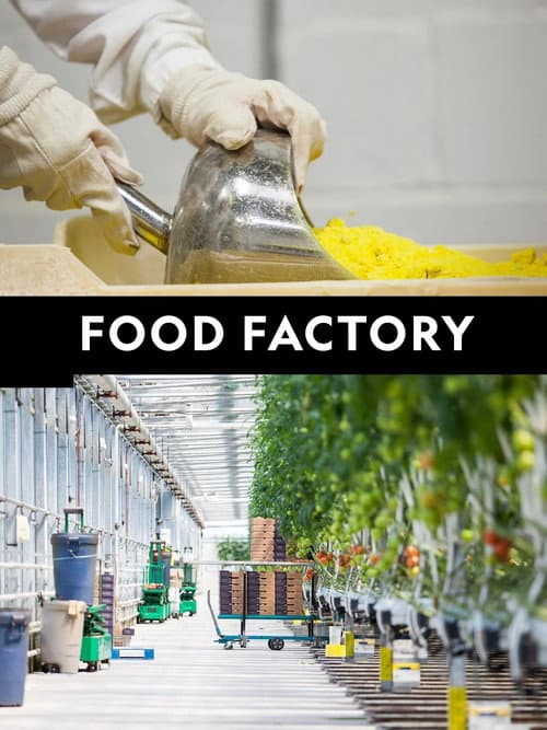 Food Factory Season 1 poster