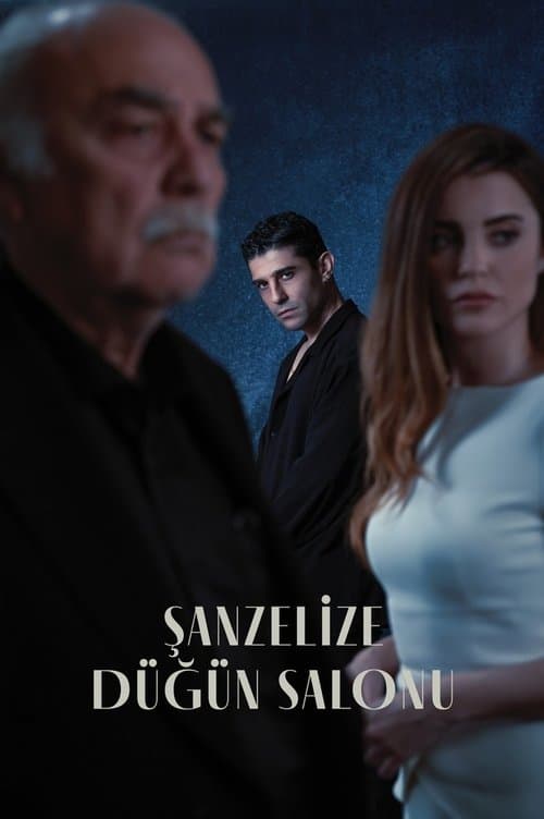 Şanzelize Düğün Salonu Season 1 poster
