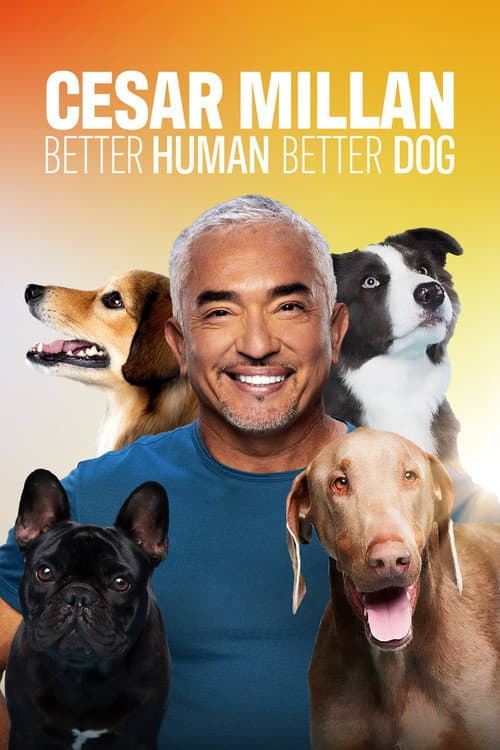 Cesar Millan: Better Human, Better Dog Season 4 poster