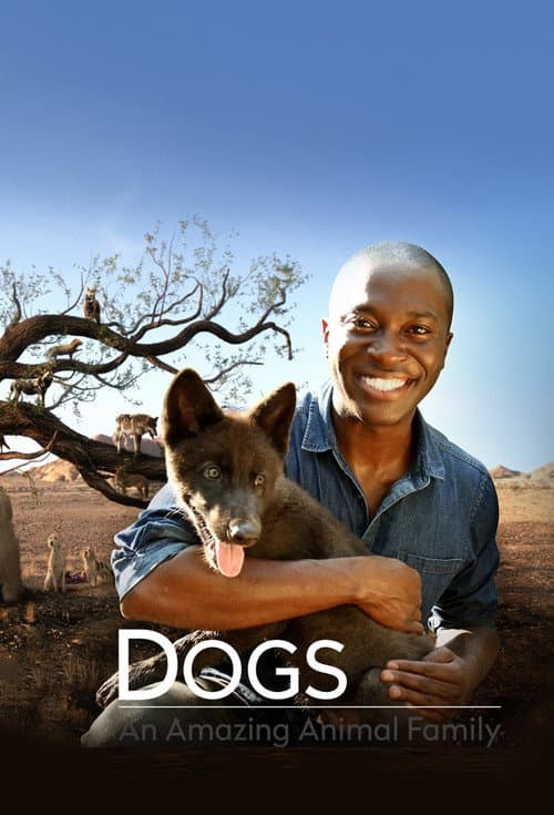 Dogs: An Amazing Animal Family Season 1 poster