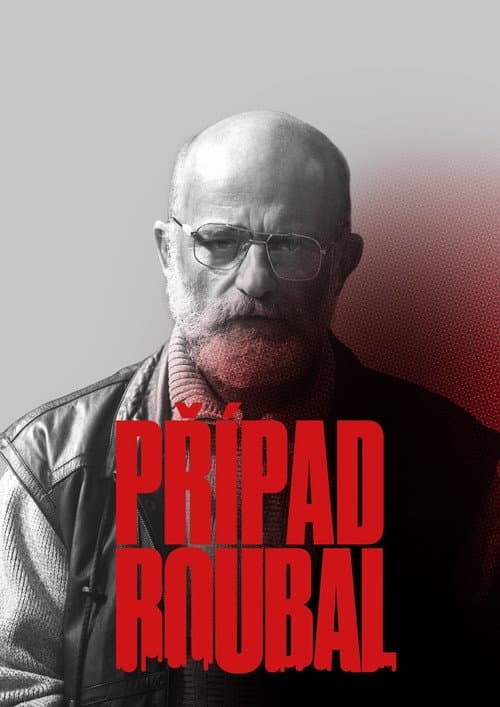 The Roubal Case Season 1 poster
