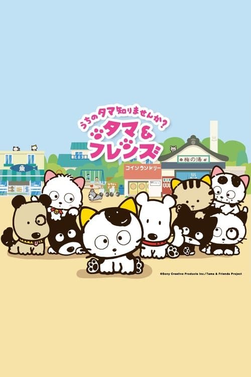 Tama and Friends: Have You Seen My Tama? Season 1 poster