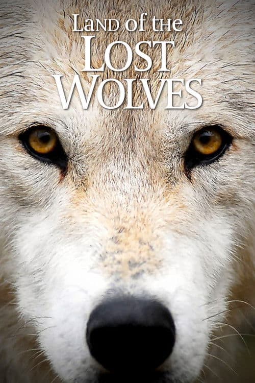 Land of the Lost Wolves Season 1 poster