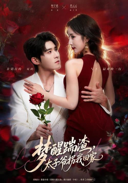 梦醒踹渣，太子爷拐我回家 Season 1 poster