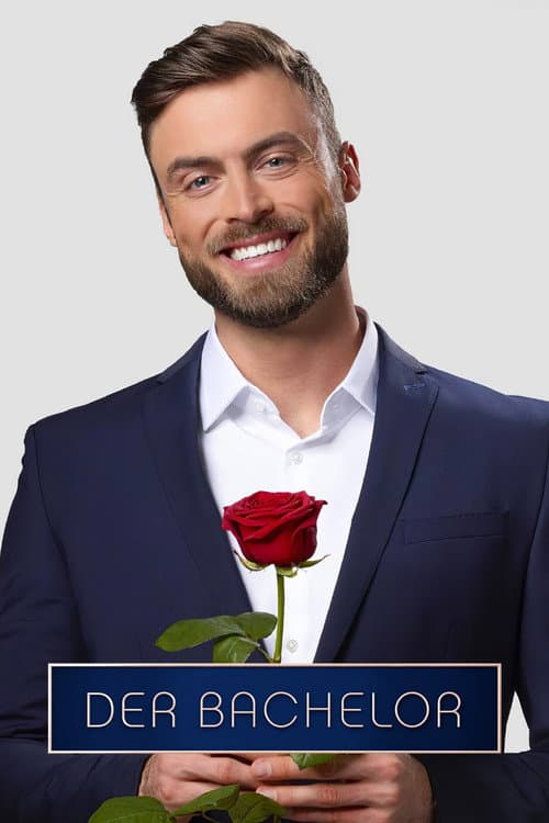 Der Bachelor Season 11 poster