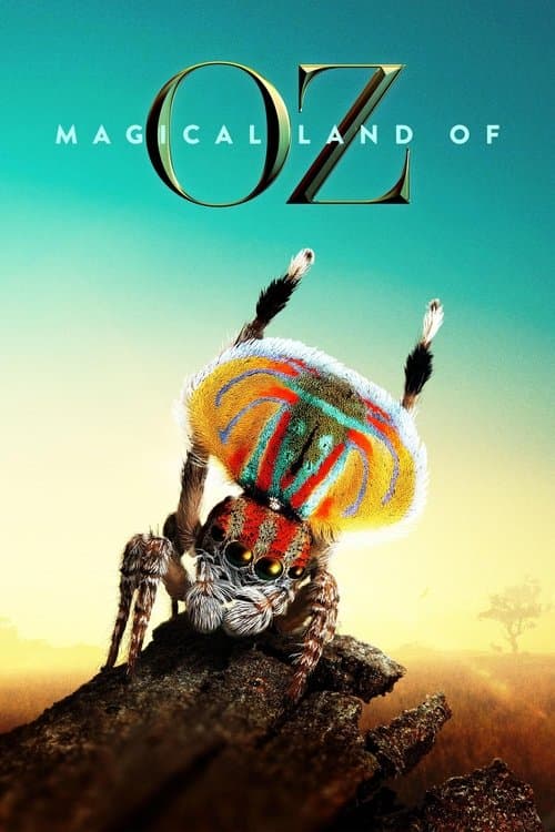 Magical Land of Oz Season 1 poster