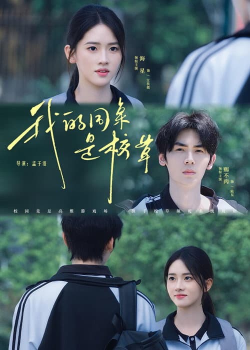 我的同桌是校草 Season 1 poster