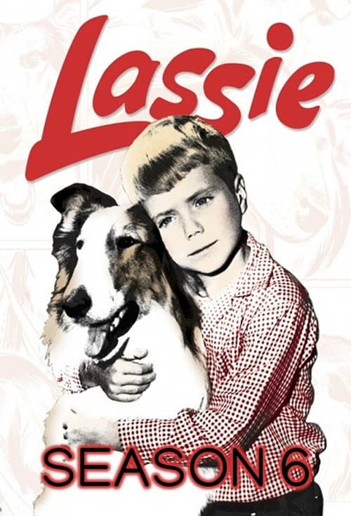 Lassie Season 6 poster