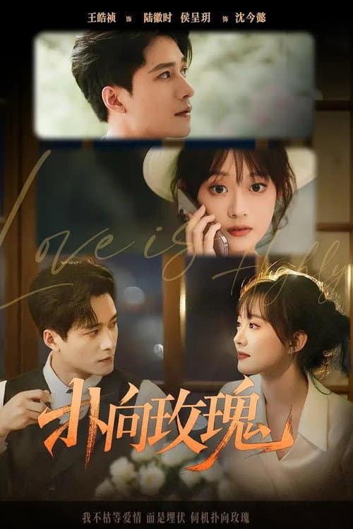 扑向玫瑰 Season 1 poster