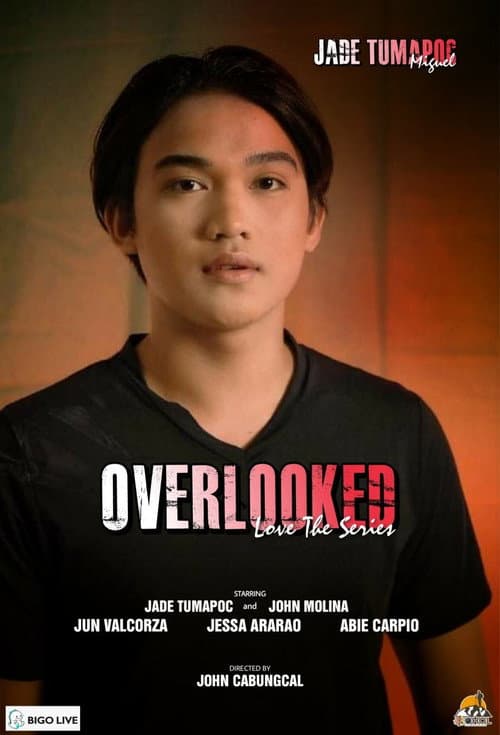 Overlooked Love the Series Season 1 poster