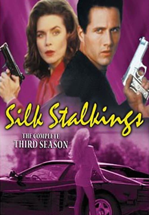 Silk Stalkings Season 3 poster