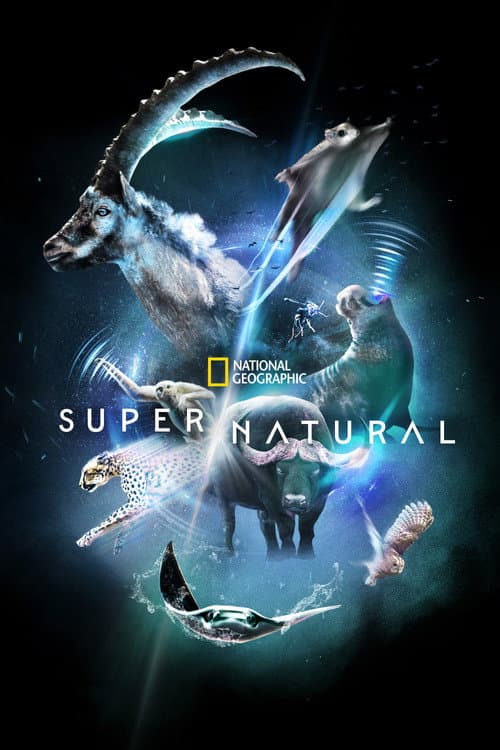 Super/Natural Season 1 poster
