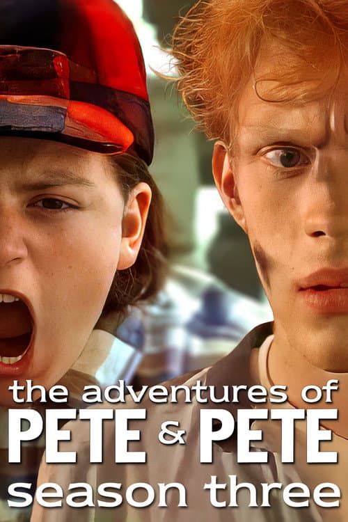 The Adventures of Pete & Pete Season 3 poster