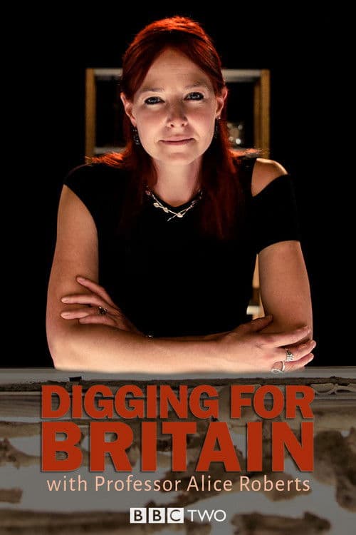 Digging for Britain Series 13 poster