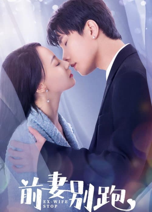 Ex-Wife Stop Season 1 poster