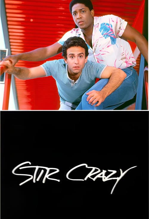 Stir Crazy Season 1 poster