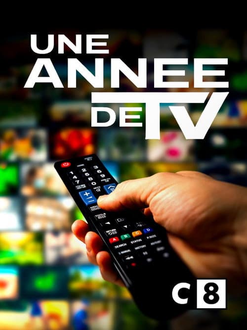 Une année de TV Season 1 poster