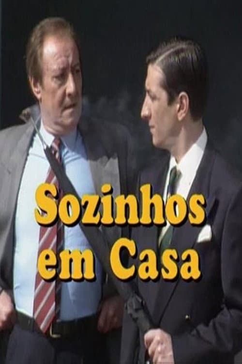 Sozinhos em Casa Season 2 poster