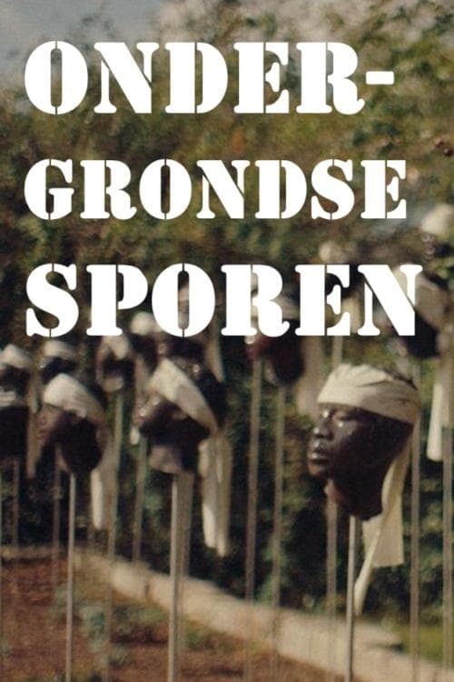 Ondergrondse Sporen Season 1 poster