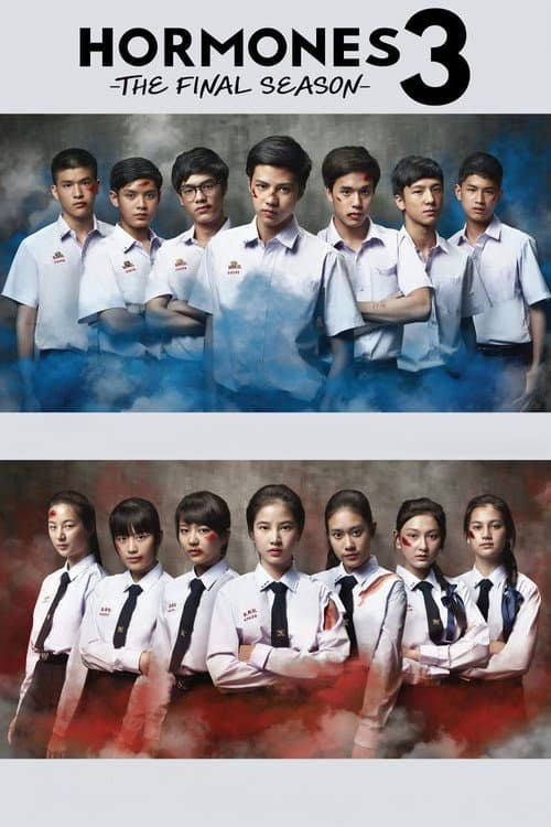 Hormones The Final Season poster