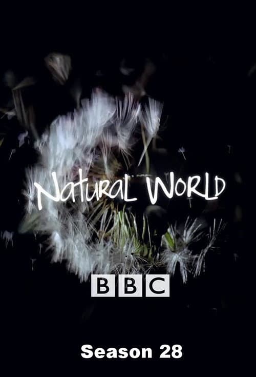 Natural World Season 28 poster