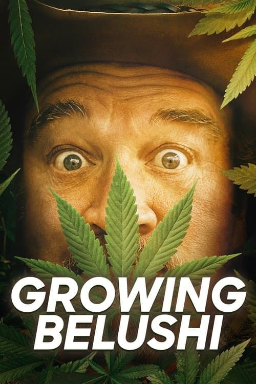 Growing Belushi Season 2 poster