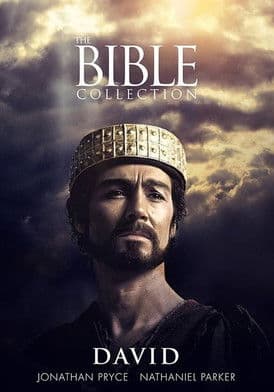 David Miniseries poster