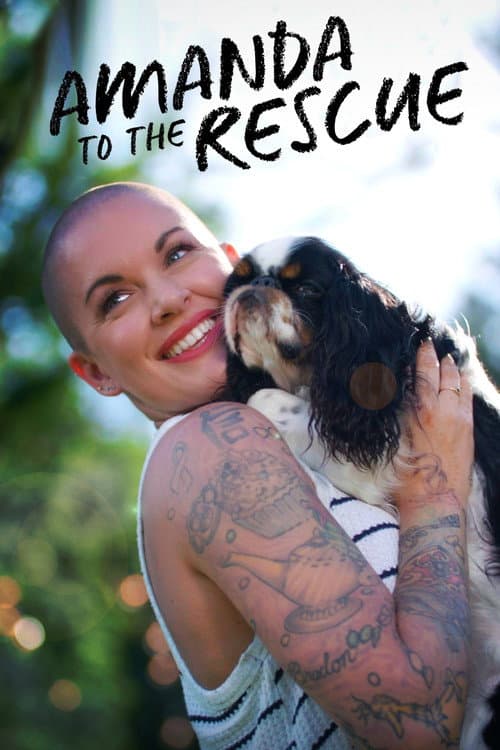 Amanda to the Rescue Season 2 poster