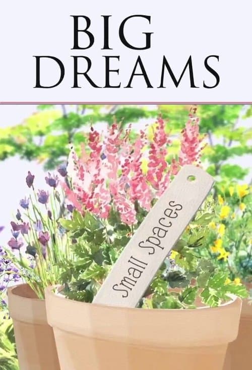 Big Dreams Small Spaces Series 2 poster