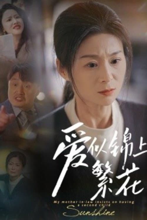爱似锦上繁花 Season 1 poster
