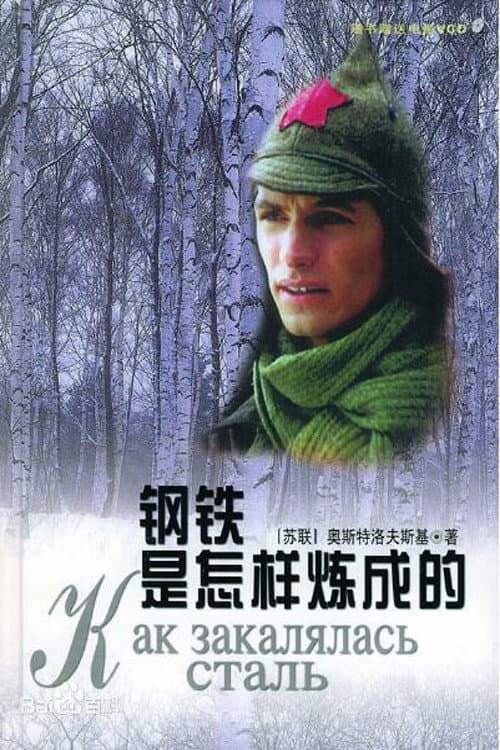 钢铁是怎样炼成的 Season 1 poster