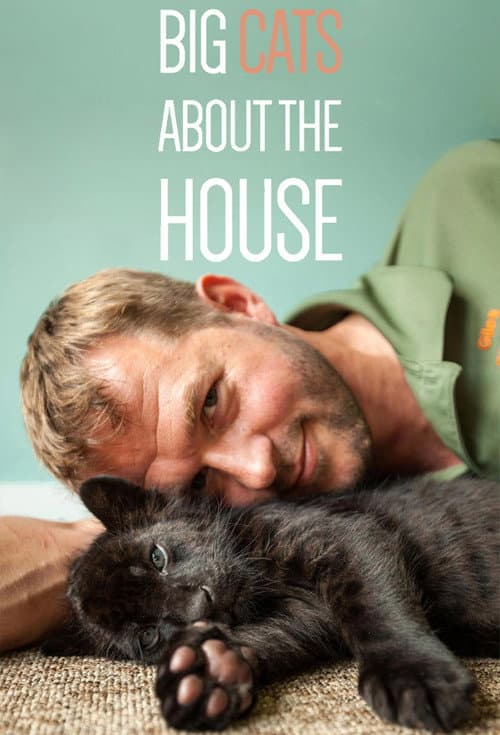 Big Cats About The House Season 1 poster