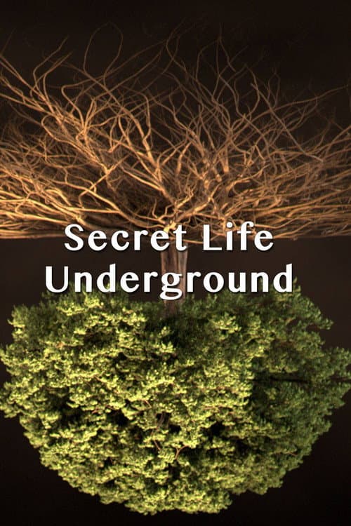 Secret Life Underground Season 1 poster