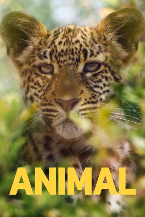 Animal Season 2 poster