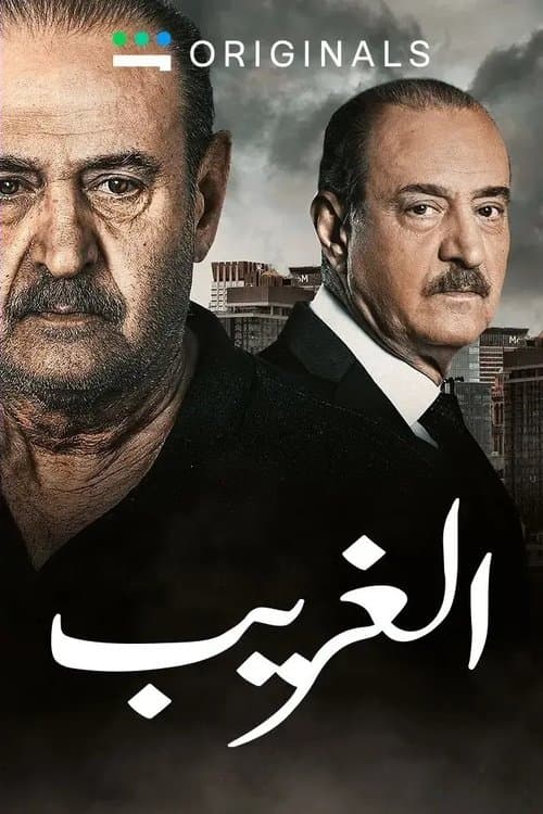 The Stranger Season 1 poster