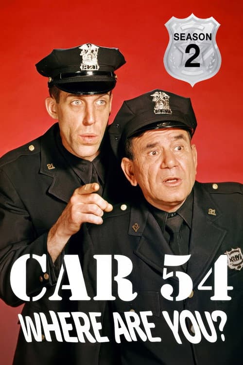 Car 54, Where Are You? Season 2 poster