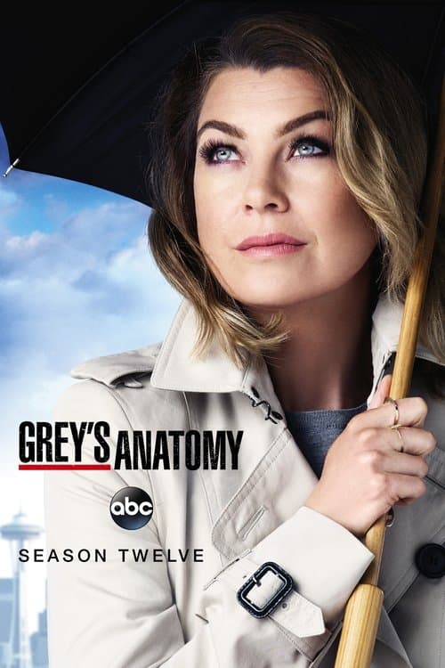 Grey's Anatomy Season 12 poster