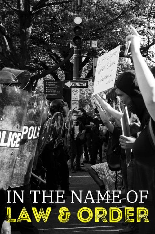 In the Name of Law and Order Season 1 poster