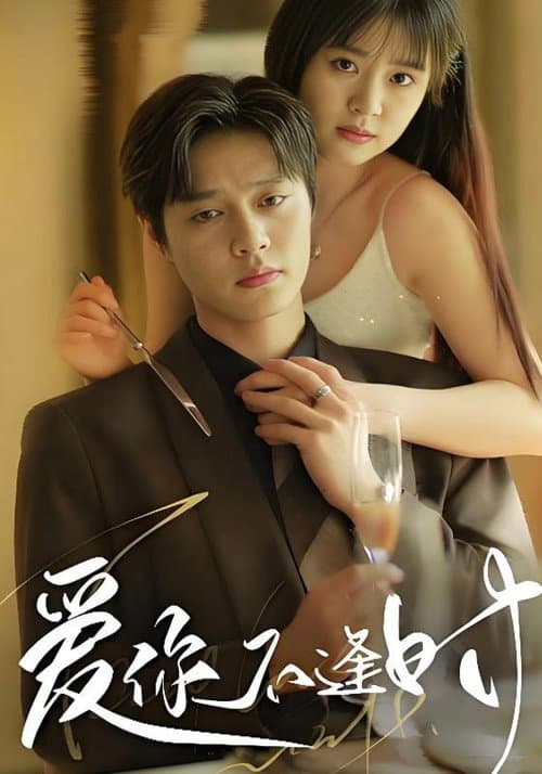 爱你不逢时 Season 1 poster