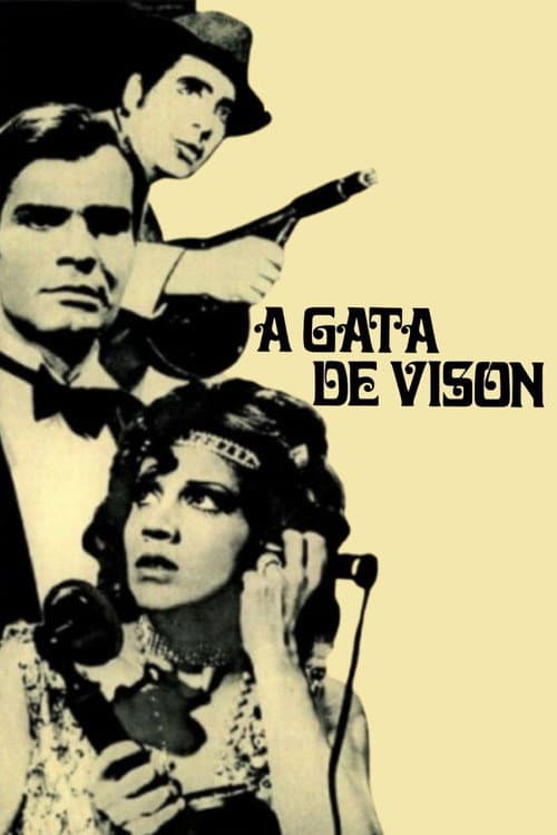 A Gata de Vison Season 1 poster