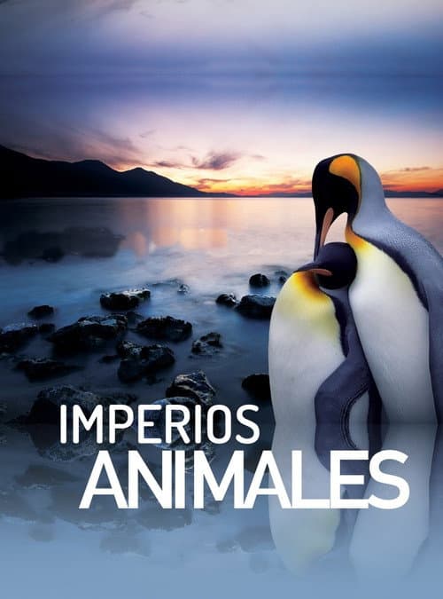 Animal Empires Season 1 poster