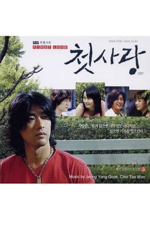 First Love Season 1 poster