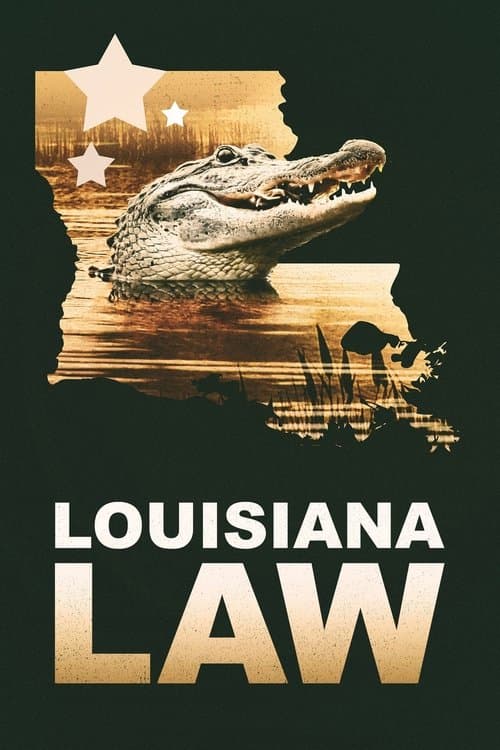 Louisiana Law Season 2 poster