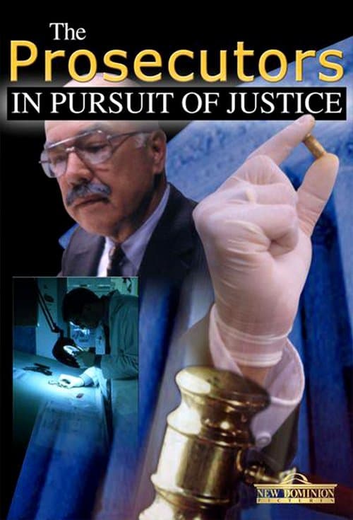 The Prosecutors: In Pursuit Of Justice Season 2 poster