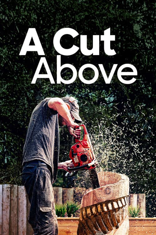 A Cut Above Season 1 poster
