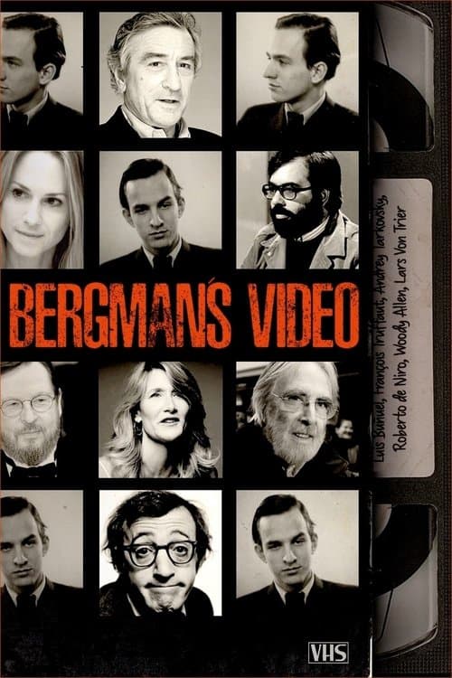 Bergman's Video Miniseries poster